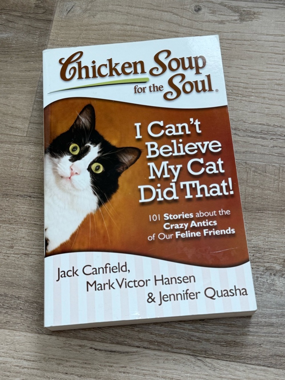 Chicken soup for the soul: I Can't Believe My Cat Did That!